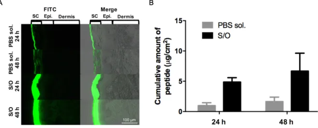 Fig. 2-7 In vitro skin permeation study of FITC-peptides in the Yucatan micropig (YMP) skin  after application of PBS solution (PBS sol.) and solid-in-oil nanodispersions (S/O) at 24 h  and  48  h