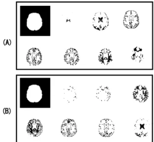 Fig. 3. Cluster centers distribution after mask process. (a) is for -    weighted image, (b) is for   - weighted image