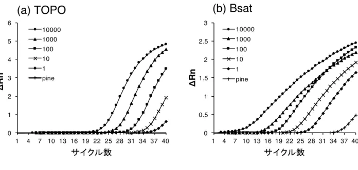 図 2-1 TaqMan qPCR 分析による増幅曲線 