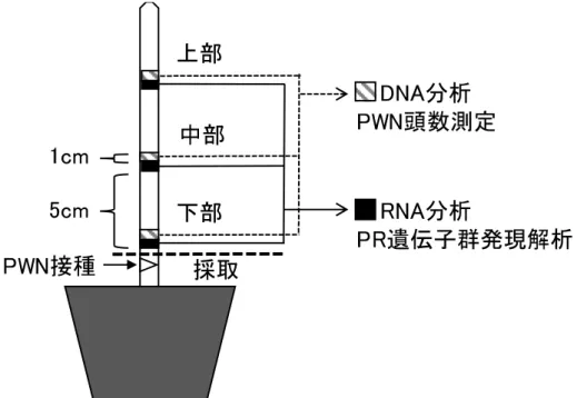 図 2-3  サンプル採取箇所