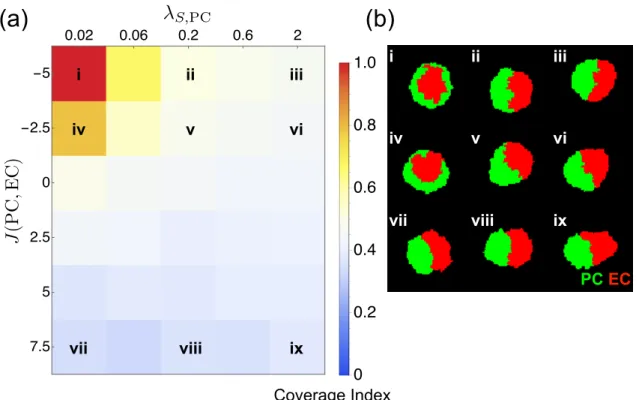 Figure 6. The combination of PC surface softness and strong PC–EC adhesion reproduced PC wrapping in CPM