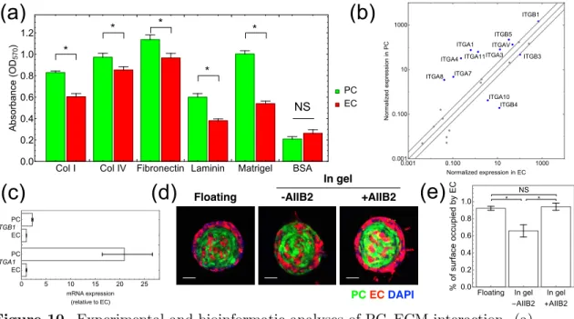 Figure 10. Experimental and bioinformatic analyses of PC–ECM interaction. (a) Adhesion assay
