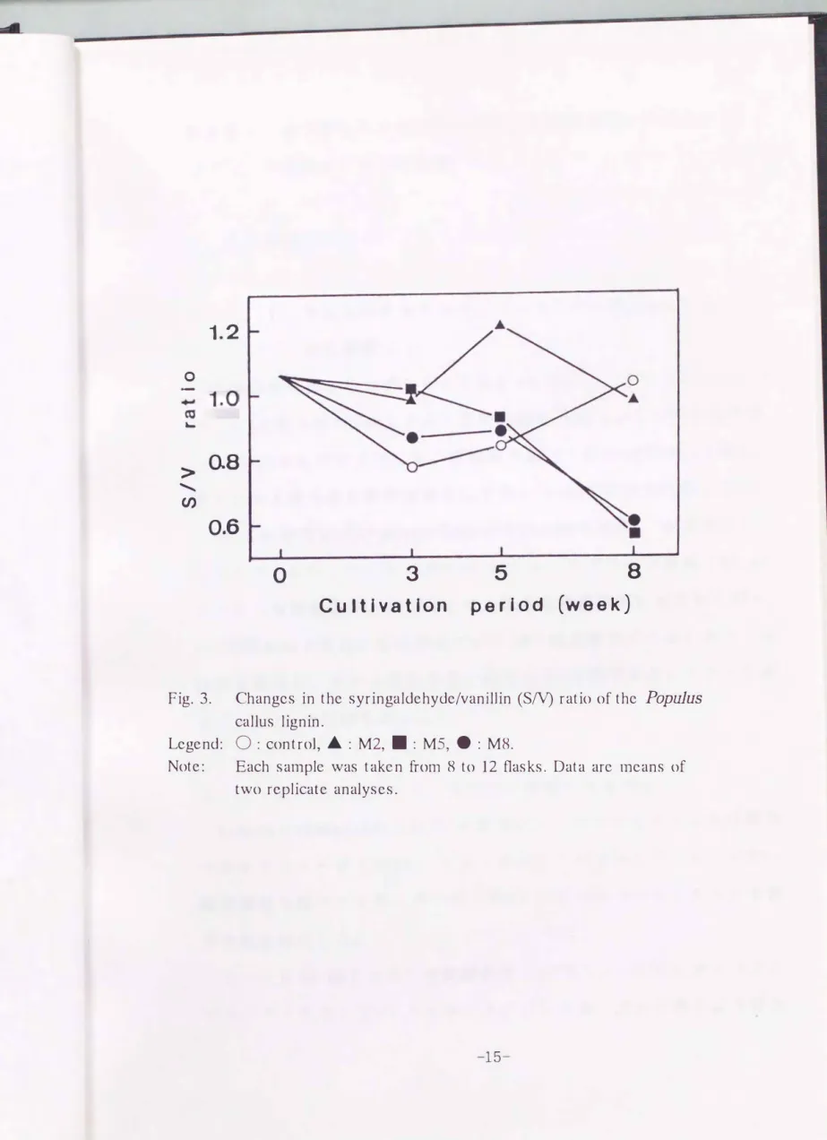Fig.  3.  Changes  in  the  syringaldehyde/vanil1in  (Sパつratio of the  PopuJus 