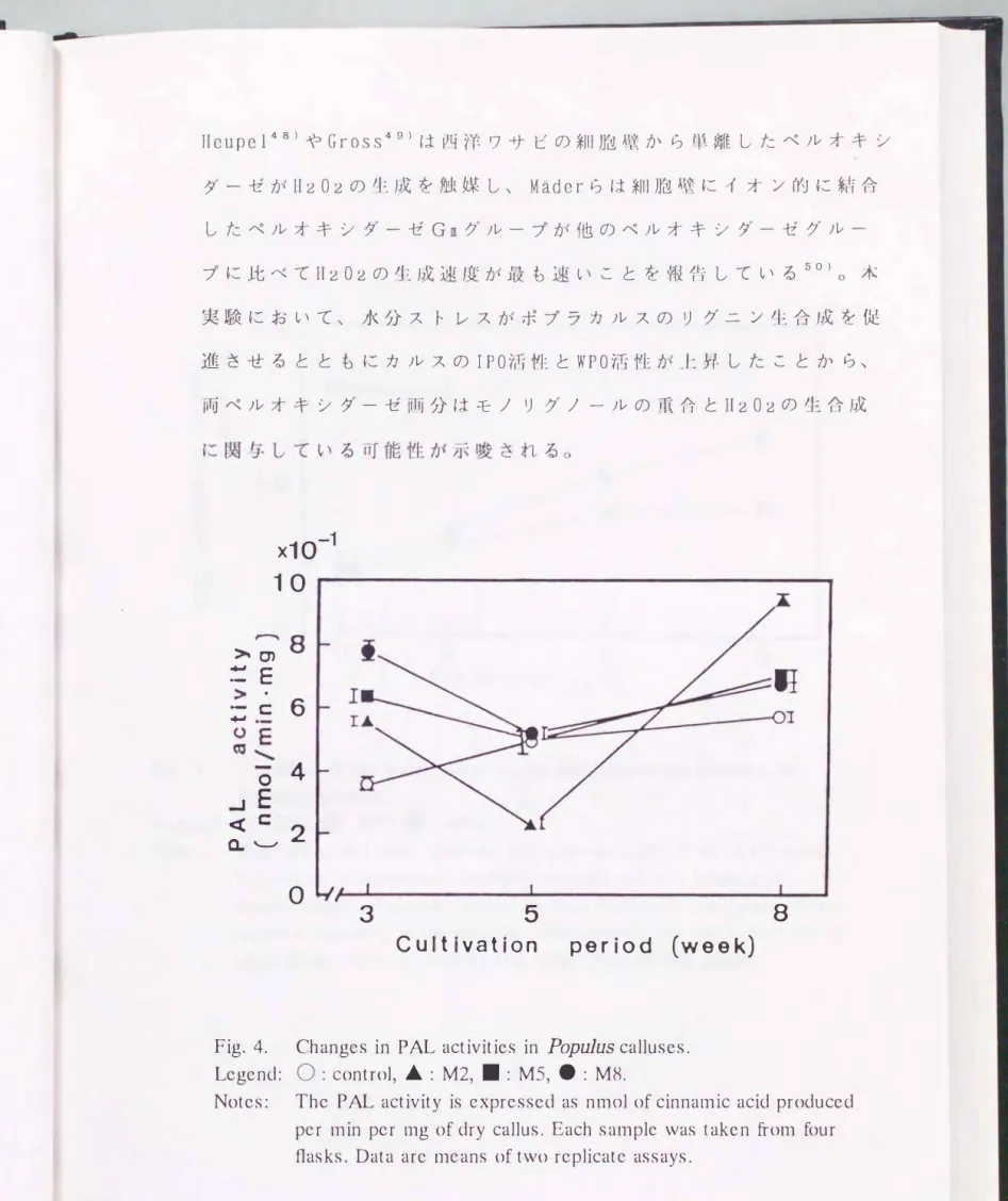 Fig.  4.  Changes  in  PAL  activities  in  PopuJus  calluses. 