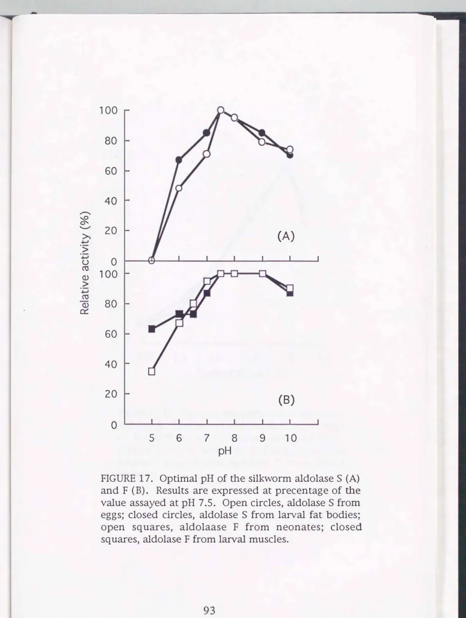 FIGURE  17.  Optimal  pH  of  the  silkworm  aldolase  S  (A) 
