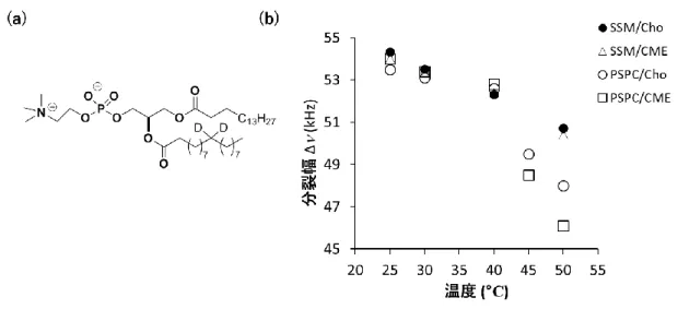 図 2-11  (a)10’,10’-d 2 -PSPC の 構 造   (b)  SSM/Cho(1:1) 、 SSM/CME(1:1) 、 ent-