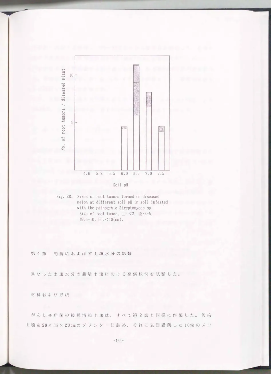 Fig.  28.  Sizes  of  root  tumor、s formed  on  diseased  melon  at  different  soil  pH  in  soil  infested 