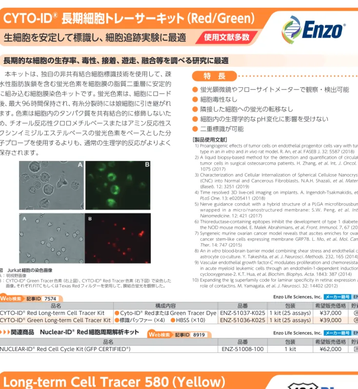 図　 （a）2 nMセルトレーサーまたは（b）2 nM量子ドット（QD）によって蛍光標識したMCF-7 細胞について、その光安定性を7日間連続的に観察した。