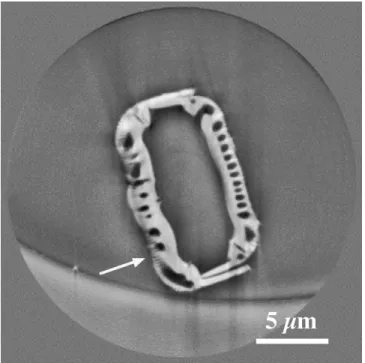 Fig. 10 Example of imaging-type microCT at BL47XU of SPring 8. Specimen: diatom as a test object