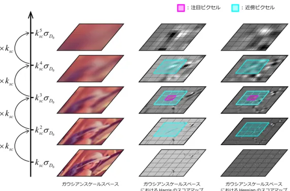 図 2.8: スケールスペースにおける Harris と Hessian のスコア．
