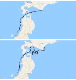 Figure 1. Two examples of shearwater trajectories [12]. Black lines show trajectories recorded using GPS loggers