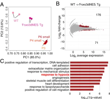 Fig. 4. Identification of hypoxia as a possible factor for the dormant state.