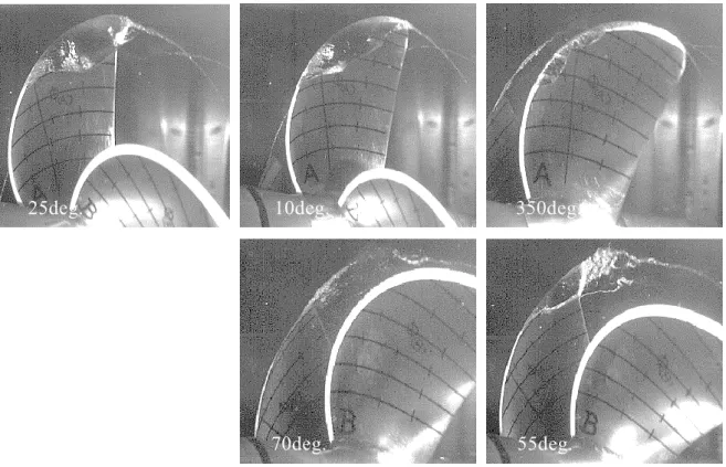Fig. 2.5(d) Cavitation pattern (MPNo.4,  K T  = 0.180,   n  = 1.65) 25deg.                             10deg