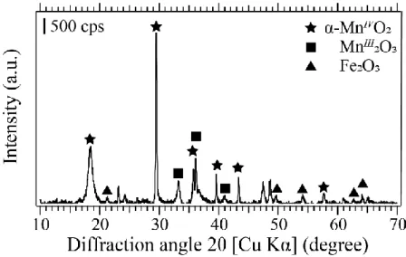 Figure 3.1 X-ray diffraction patterns of the Mn-deposit collected from the 