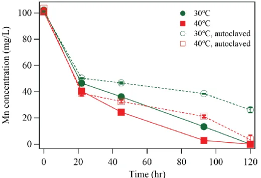 Figure  3.6  Mn(II)-oxidative  removal  by  raw  (solid  symbols  with  solid  line)  and  autoclaved (open symbols with broken lines) Mn-deposit collected from wastewater  pipe under different temperature of 30℃ and 40℃