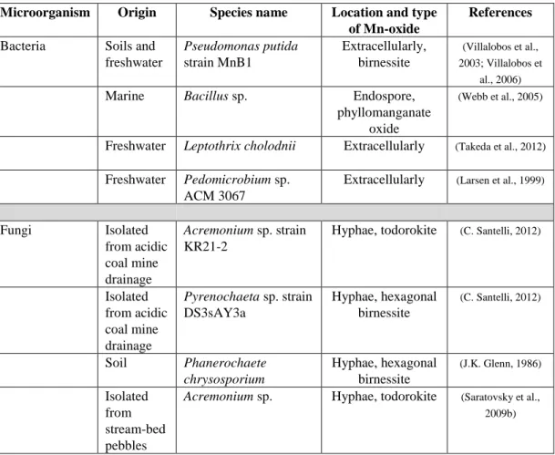 Table 1.3 Examples of Mn(II)-oxidizing microorganisms, its origin,  and location of  Mn-oxide 