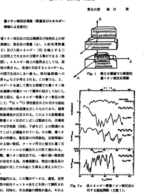 Fig. 2 a fix *  ^ + * - « » ^ t v&amp;BJbK 