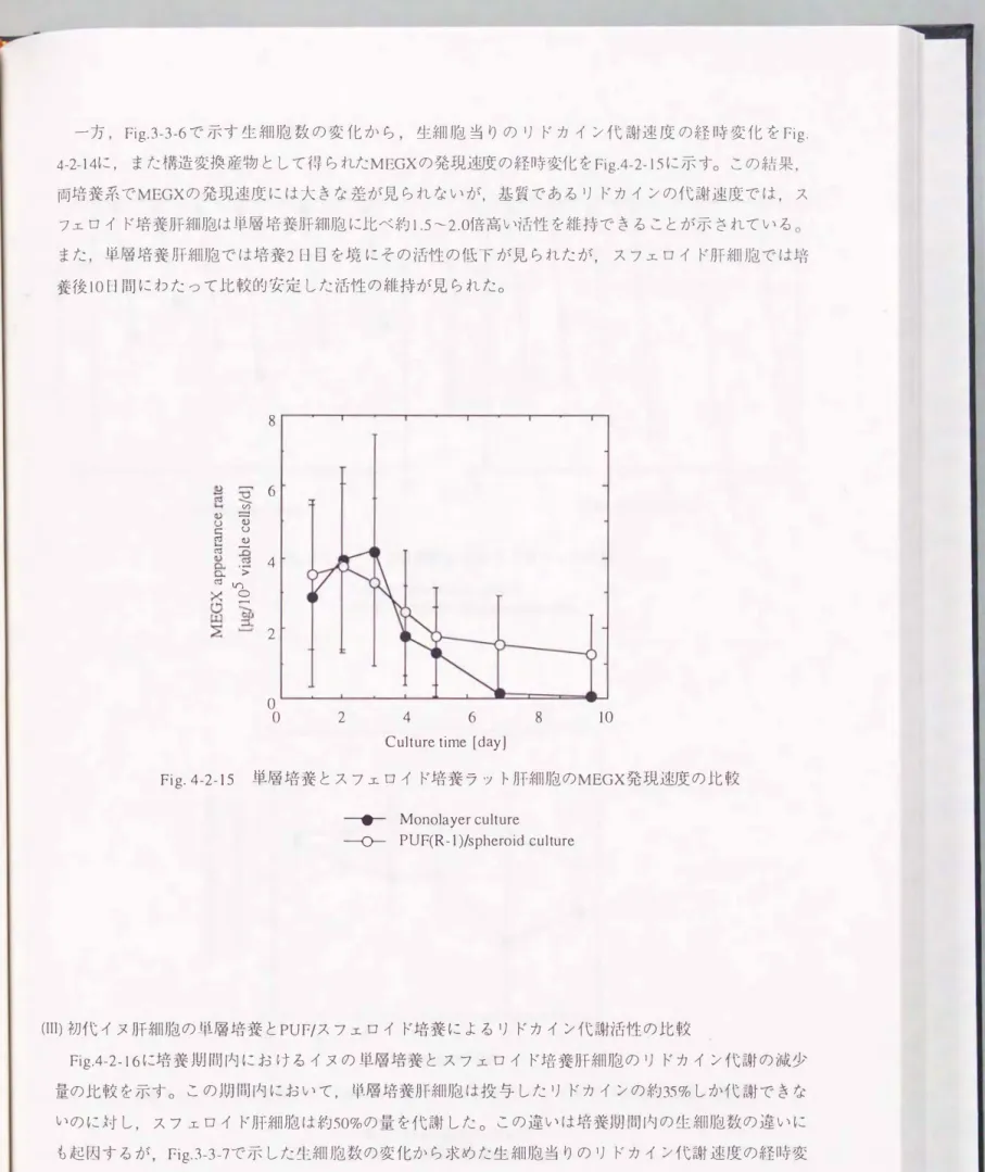 Fig. 4-2-15  単層培養とスフエロイド培養ラット肝細胞のMEGX発現速度の比較 一寸.­ ーベ〉ー Monolayer culture  PUF(R-l)/spheroid culture  (III)初代イヌ肝細胞の単層培養とPUF/スフエロイド培養によるリドカイン代謝活性の比較 Fig.4-2-16に培養期間内におけるイヌの単層培養とスフエロイド培養肝細胞のリドカイン代謝の減少 量の比較を示す。 この期間内におい て， 単層培養肝細胞 は投与したリドカインの約35%しか代謝できな いのに対し，