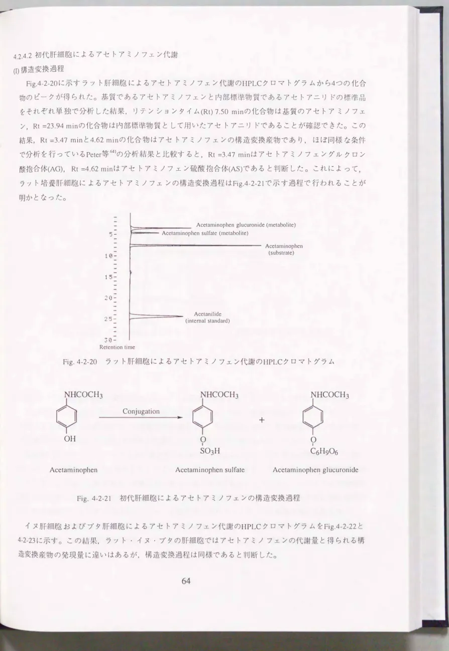 Fig.  4-2-21  初代肝細胞によるアセトアミノフェンの構造変換過程