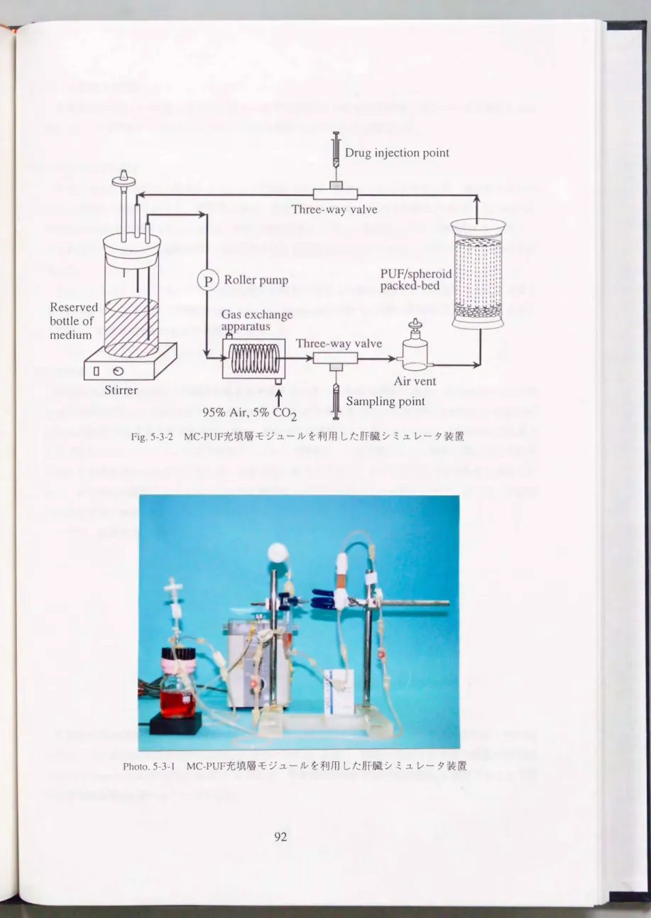 Fig.  5-3-2  MC-PUF充填層モジュールを利用した肝臓シミュレータ装置