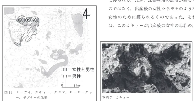 図 11 シ ー ガ イ，カ キ ィ ー，ク ジ マ，モ ー モ ー グ ヮ ー，ギブナーの漁場 写真 7 カキィーめ味噌汁の出汁として消費される．2，男性たちのガサミ漁  男性たちのガサミ漁も女性たちと同様に行われるが，舟で行うこともあるため女性たちよりも広い海域で行われる．⑩カキィー カキィーとは，カキ類の貝のことである．このカキィーは1年を通して獲ることができる．漁法と しては，ドライバーなどの金属製の先端が尖った道具を利用して，岩に張り付いたカキィーを剝がし に良いとされたためである．しかし，このカ