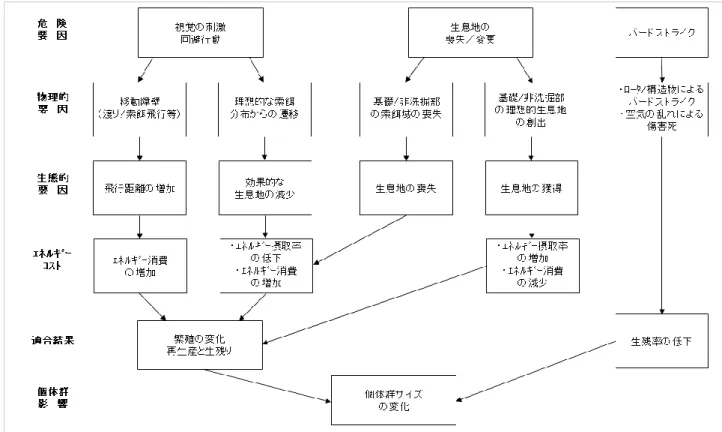 図 2.3-4  洋上風力発電施設による鳥類個体群レベルへの影響プロセス(Dong Energy  et al. ,2006 を基に 作成) 