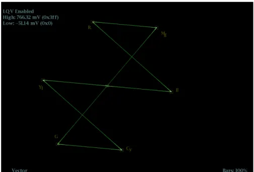 図 20: LQV（Luma Qualiﬁed Vector）を有効にしたベクトル表示