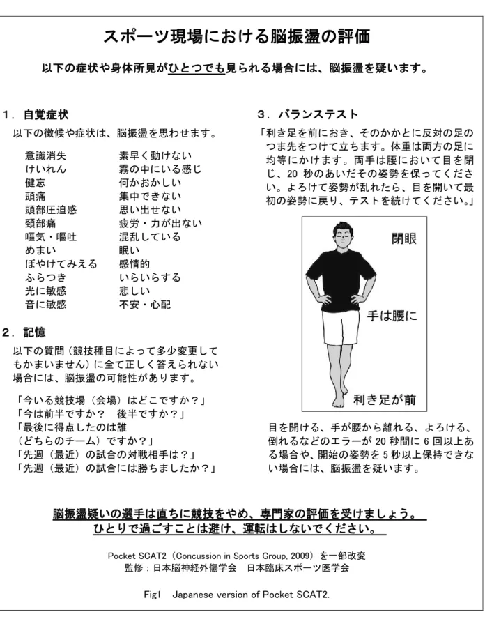 Fig1  Japanese version of Pocket SCAT2. 