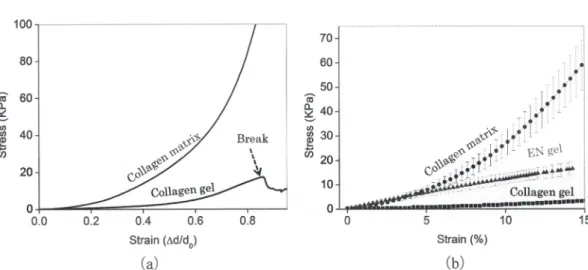 Fig. 5　The mechanical strength of F-Col and T-Col by compression test (a) and elongational test