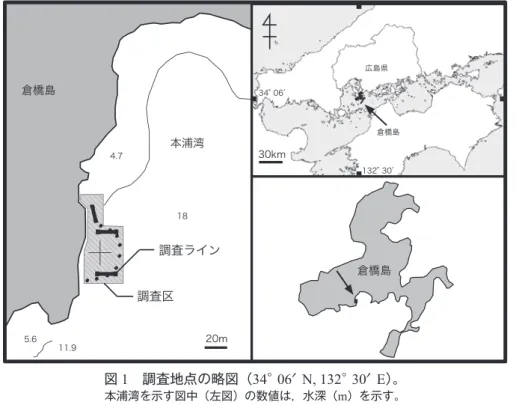 図 1  調査地点の略図（ 34 ° 06 ′ N, 132 ° 30 ′ E ）。