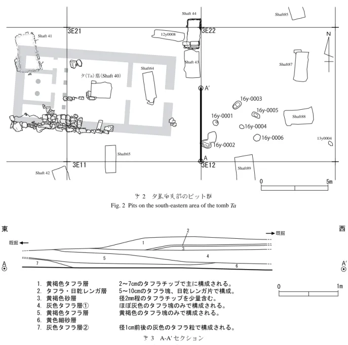 図 3　A-A' セクション Fig.3  Section A-A'