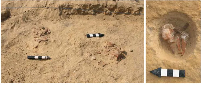 図 4　16y-0002 出土彩文土器 Fig.4  Painted pottery from Pit 16y-0002