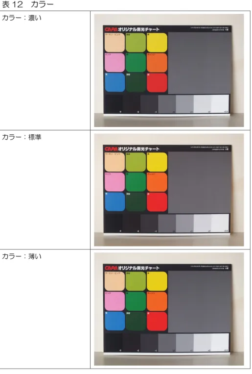 表 12  カラー  カラー：濃い 