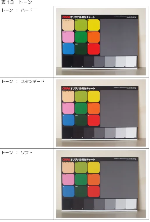 表 13  トーン  トーン  ：  ハード 