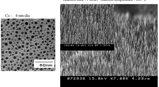 Fig. 5 Cooperative eŠect of Co and Mo catalysts 11) . The total carbon yield on the Co: Mo ratio.