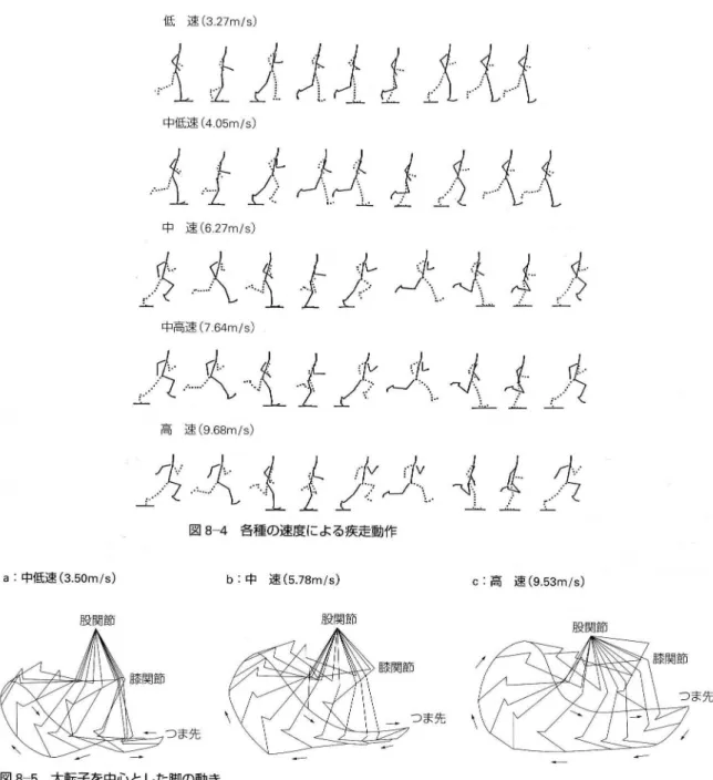 図 11.2: 速度増加に伴う走フォームの変化