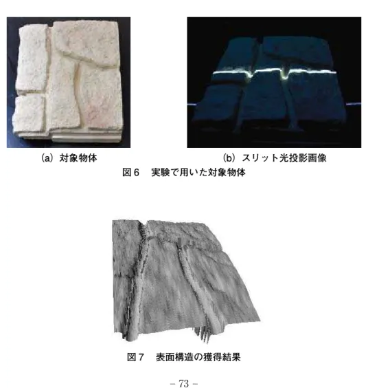 図 7 　表面構造の獲得結果