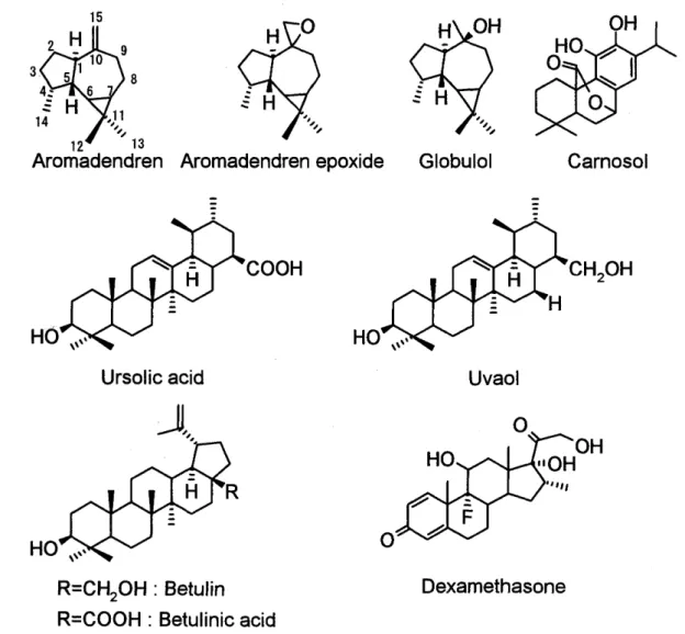 Fig.  1  Chemical structure of various terpenoids 