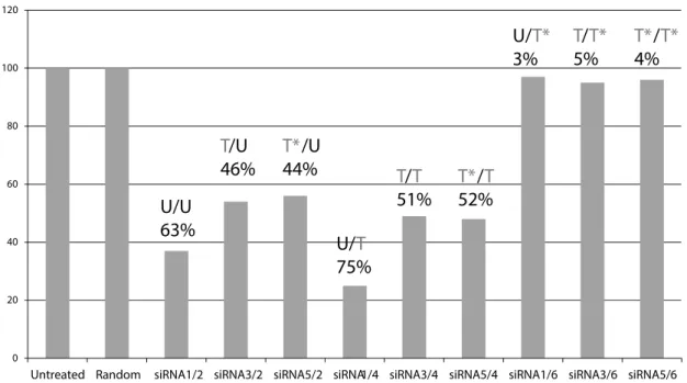 Figure 4. hAgo2 MID ドメイン中のT*