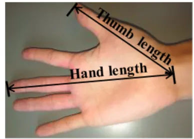 Fig. 7 Definition of the flexion-extension, abduction-adduction and  pronation-supination angles in the two coordinate systems 