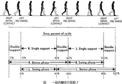 図 1 一般的な歩行周期 6) 3 軸加速度センサを装着して長時間歩行による疲労の影響を調べた．その結果から，比較的 強く疲労するタイプの人は (c) 前脛骨筋の筋疲労から歩行リズムの不安定化が生じる， (d) 歩行のピッチを遅めることにより，歩行の動的安定性を強めて転倒防止を図る， (e) 接地時 の衝撃を弱めることにより，筋骨格系への負担を軽減させるなどの仮説を提案している．ま た米川ら 5) は，圧力センサを埋め込んだ靴での運動前後の歩行時圧力データから， (f) 接地 時圧力の最大値の低下， (g)