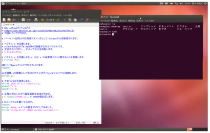 図 13: Octave が起動しているターミナル ( プロンプトが octave-3.x.x となっ ているターミナル) で、test と打ってリターンを押してください。