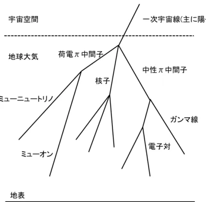 図 11 空気シャワー現象の概略図。宇宙空間から飛来した一次宇宙線が、地球大気中 の原子との衝突・破壊により、ハドロンを生成する。この過程を繰り返す事により、二 次宇宙線がシャワー状に広がる。
