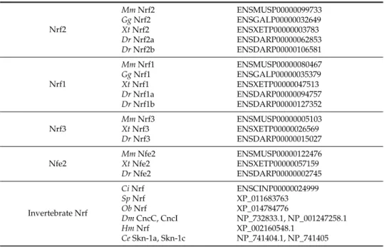 Table 1. Summary of Nrf proteins.