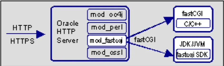 図 8: FastCGI アーキテクチャ  クライアント・リクエストが受信されると、Web サーバーは FastCGI プロセスへ の接続を開始し、アプリケーションのエントリ・ポイントを起動してその結果を 戻します。 FastCGI プロセスは、同じマシンでも異なるマシンでも実行可能なため、 配置オプションの選択肢が広がります。構成ベースのマルチ・プロセスは、シン グル・スレッド FastCGI アプリケーションに自動的に実行されます。マルチ・ス レッド FastCGI アプリケーションは、シングル・プロセ