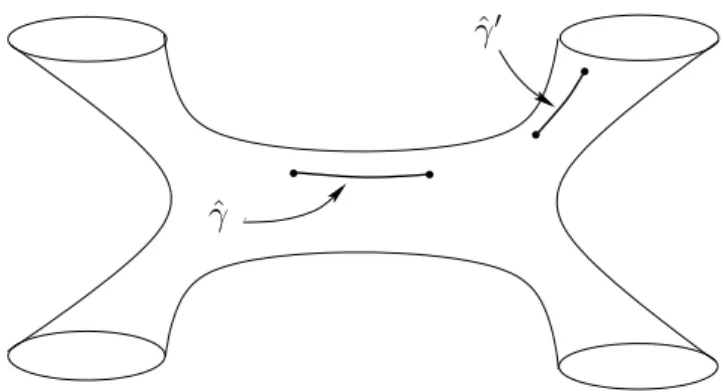 Figure 5: Real curves defining open string periods on Σ.