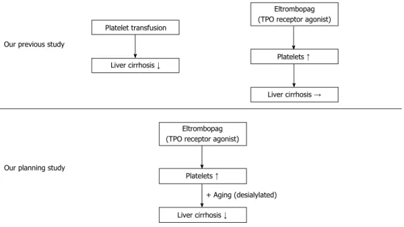 Figure 1  Flow charts of our previous study and our prospective study.
