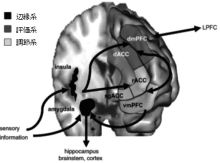Figure   9  パニック障害安静時の糖代謝