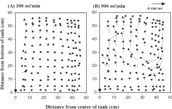 Fig. 1.1 showed the measured flow fields in a 500 l at two air supply rates (300  and 900 ml/ min)