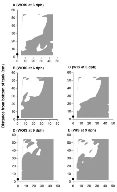 Fig. 1.4. Half of a horizontal, cross sectional view of the estimated  danger  zone (EDZ)  at 3, 6, and 9 days-post-hatch  (dph) at  an air  supply  rate  of  300  ml/min